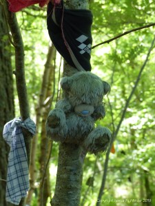 Votive offerings on trees at a sacred site