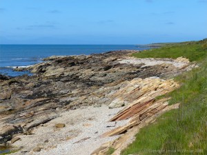 Upper Old Red Devonian Sandstone at Portmahomack