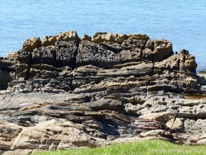 Upper Old Red Devonian Sandstone at Portmahomack