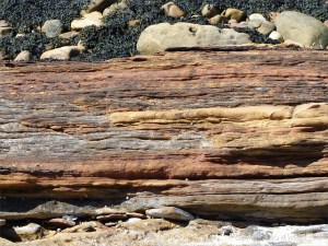 Upper Old Red Devonian Sandstone at Portmahomack