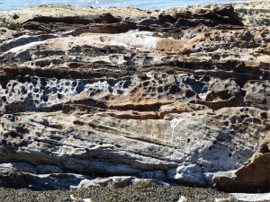 Upper Old Red Devonian Sandstone at Portmahomack
