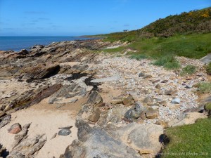 Upper Old Red Devonian Sandstone at Portmahomack
