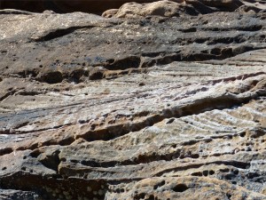 Upper Old Red Devonian Sandstone at Portmahomack