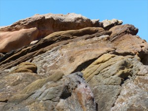 Upper Old Red Devonian Sandstone at Portmahomack