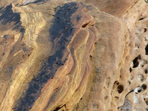 Sedimentary Upper Old Red Devonian Sandstone at Portmahomack
