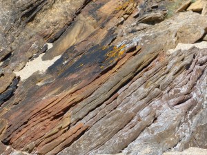 Sedimentary Upper Old Red Devonian Sandstone at Portmahomack