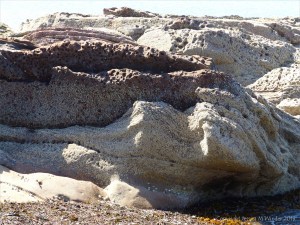 Sedimentary Upper Old Red Devonian Sandstone at Portmahomack
