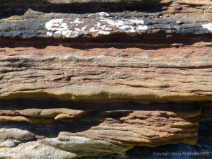 Sedimentary Upper Old Red Devonian Sandstone at Portmahomack