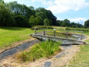 Village pond drying up in summer