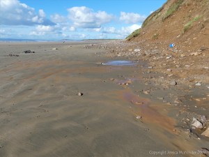 Orange mud on Rhossili beach