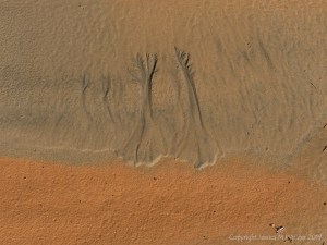 Orange mud on Rhossili beach