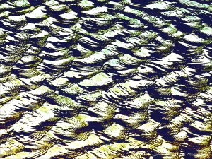 Variation in natural water ripple and reflection pattern