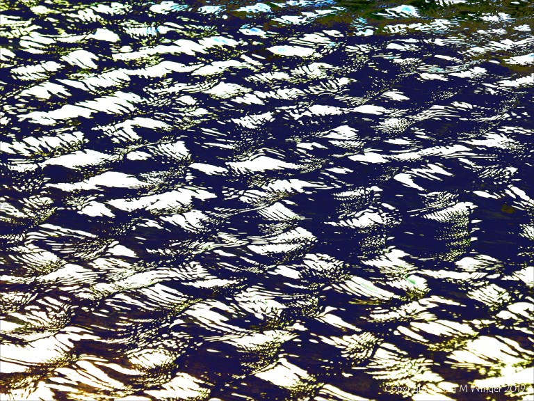 Variation in natural water ripple and reflection pattern