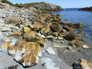 Seaweed like golden hair on rocks