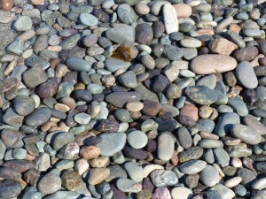 Pebbles at Gun Landing Cove in Cape Breton, Nova Scotia