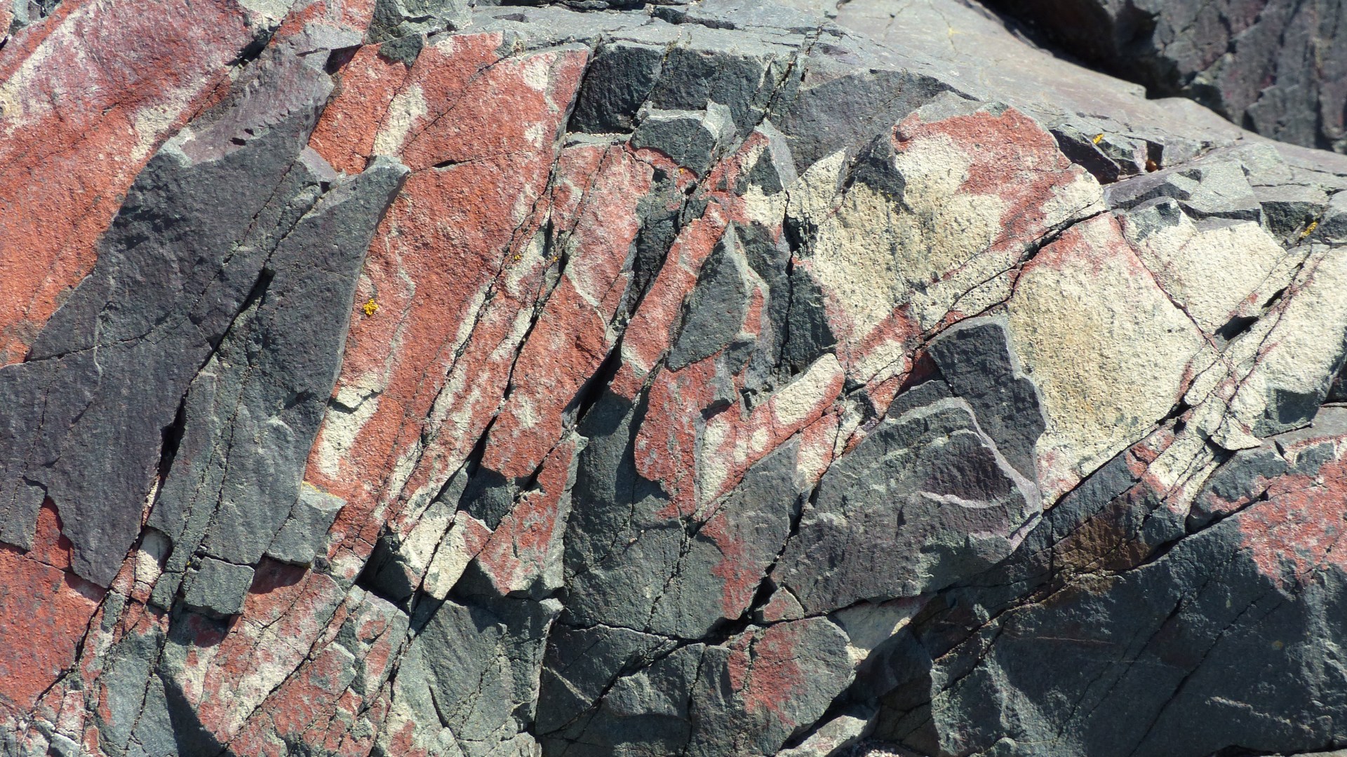 Rhyolitic basalt at Main-a-Dieu in Cape Breton