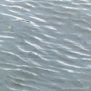 Water surface texture and pattern