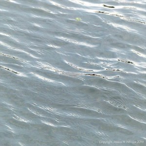 Water surface texture and pattern