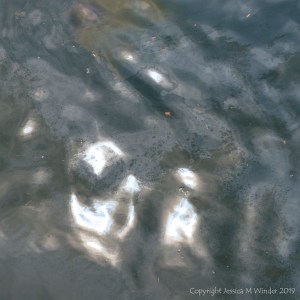 Natural water pattern and texture