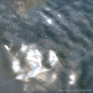Natural water pattern and texture