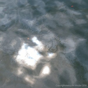 Natural water pattern and texture