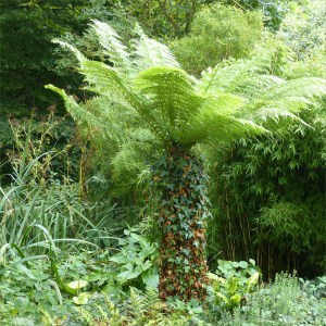 Pictures from the gardens at "Sculpture by the Lakes"