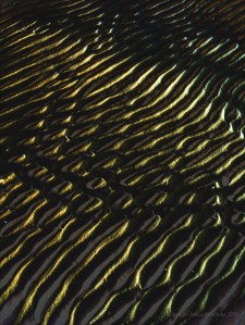 Abstract enhanced photograph of sand ripple patterns