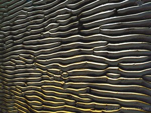 Abstract enhanced photograph of sand ripple patterns