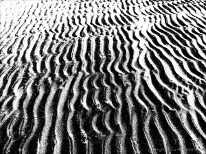 Monochrome ripples across the beach at Whiteford Sands