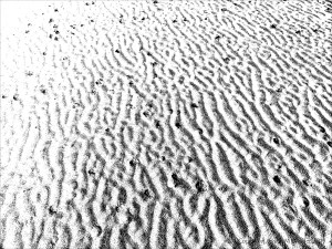 Monochrome ripples across the beach at Whiteford Sands