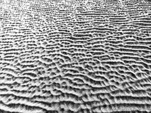 Monochrome ripples across the beach at Whiteford Sands