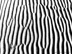 Monochrome ripples across the beach at Whiteford Sands