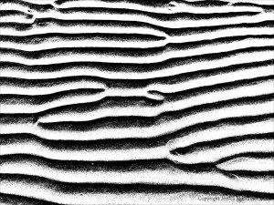 Monochrome ripples across the beach at Whiteford Sands