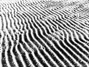 Monochrome ripples across the beach at Whiteford Sands