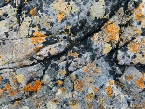 Natural pattern of lichens on limestone rock