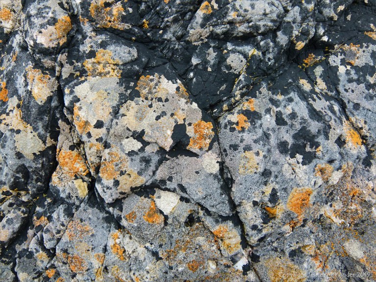 Natural pattern of lichens on limestone rock