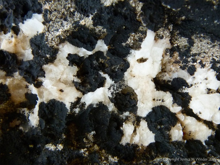 Natural pattern of lichens on limestone rock
