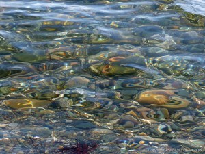 Shallow water on the beach at Crystal Cliffs in Nova Scotia