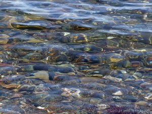 Shallow water on the beach at Crystal Cliffs in Nova Scotia