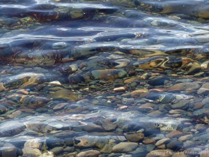 Shallow water on the beach at Crystal Cliffs in Nova Scotia