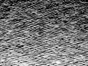 Natural water ripple patterns in black and white