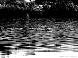 Natural water ripple patterns in black and white