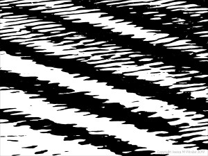 Natural water ripple patterns in black and white