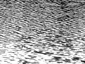 Natural water ripple patterns in black and white