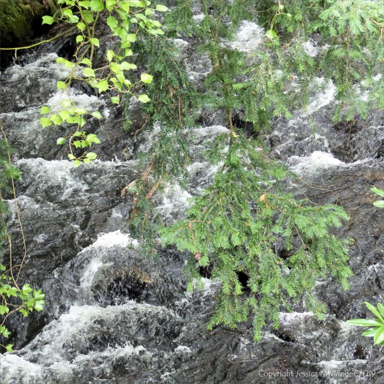 Fast flowing river seen through the trees