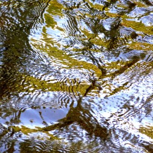 Reflections of green leaves on a fast flowing river