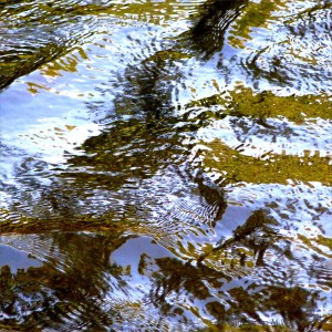 Reflections of green leaves on a fast flowing river