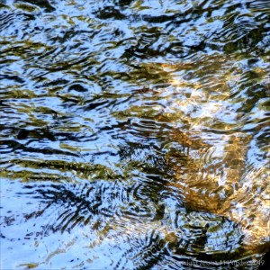 Reflections of sky and leaves on a fast flowing river