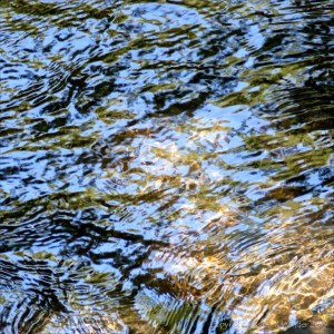 Reflections of sky and leaves on a fast flowing river