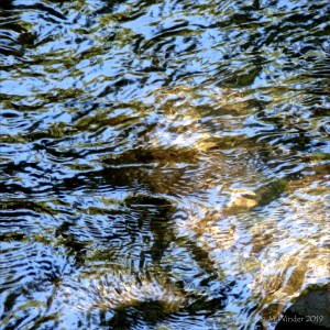 Reflections of sky and leaves on a fast flowing river